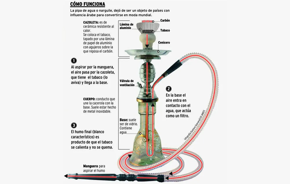 SHISHA ¿COMO FUNCIONA? - Monkey Shisha's