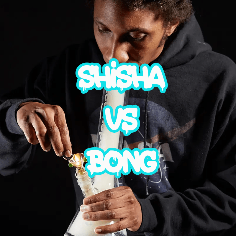 SHISHA Y BONG: DIFERENCIAS - Monkey Shisha's