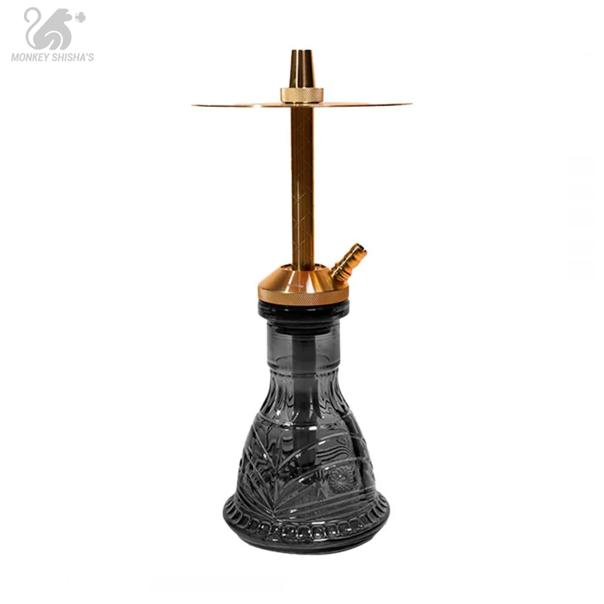 MR. SHISHA BABY GOLD - Vista principal | Mr. Shisha