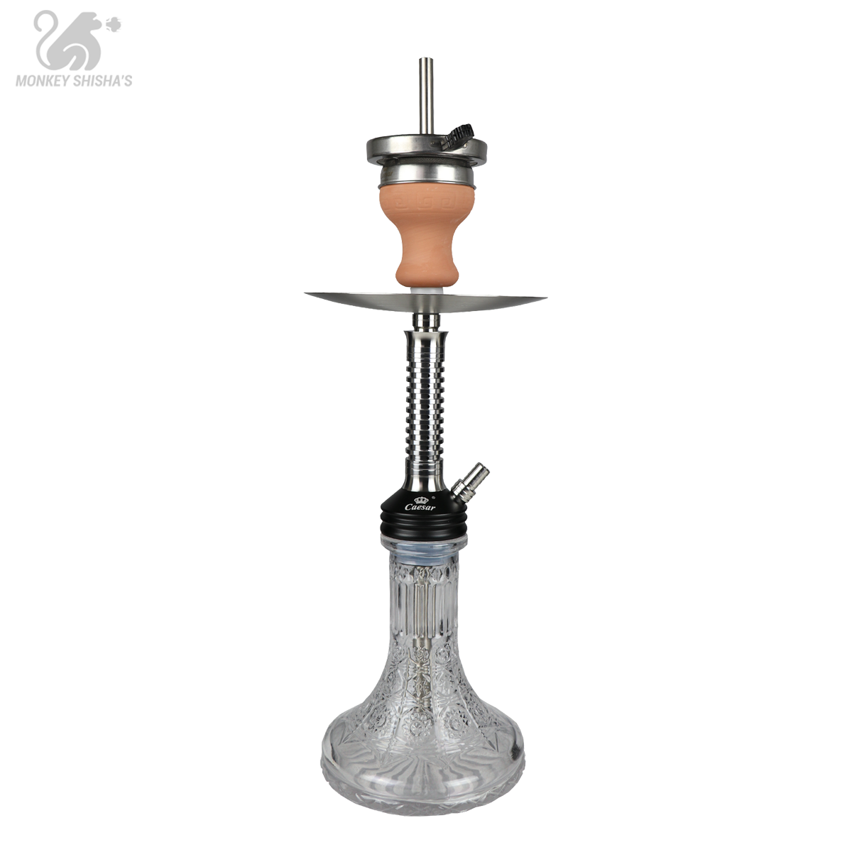 CAESAR 12 SHISHA ACERO INOX